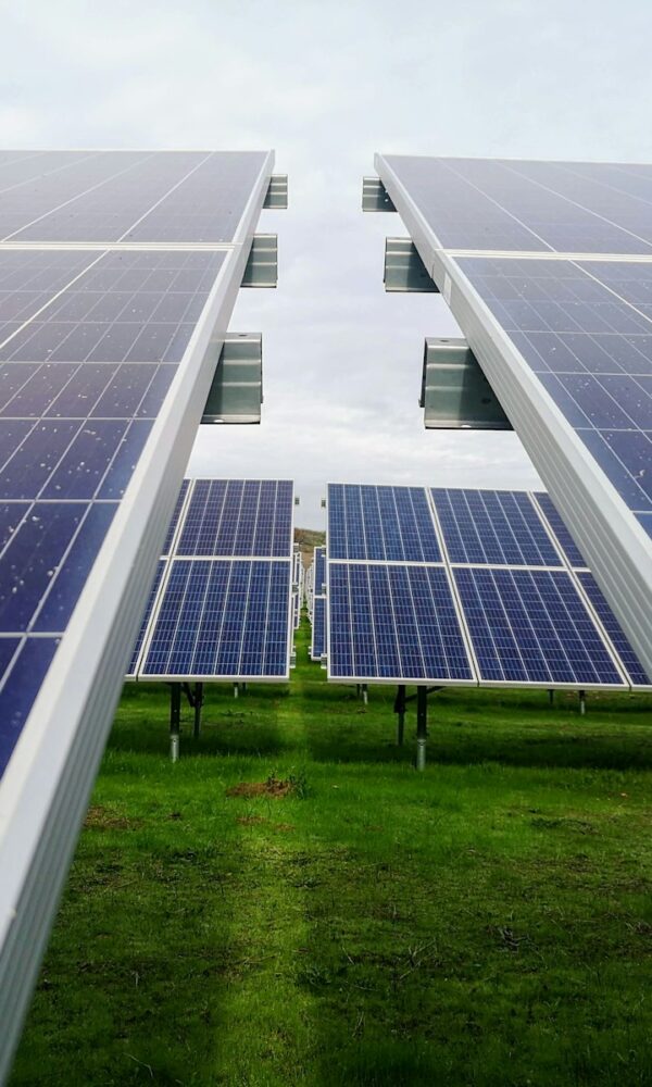 blue and white solar panel lot